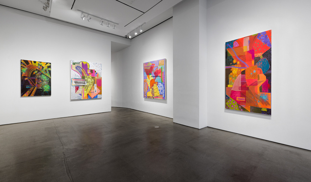 Installation view of Shane Walsh &quot;Psychoalphadiscobeta&quot;