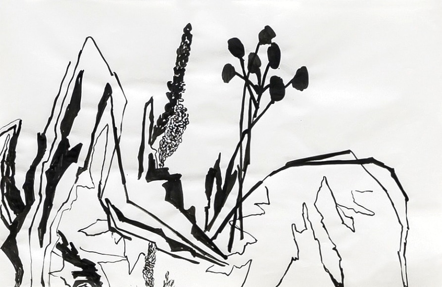 ink on paper drawing