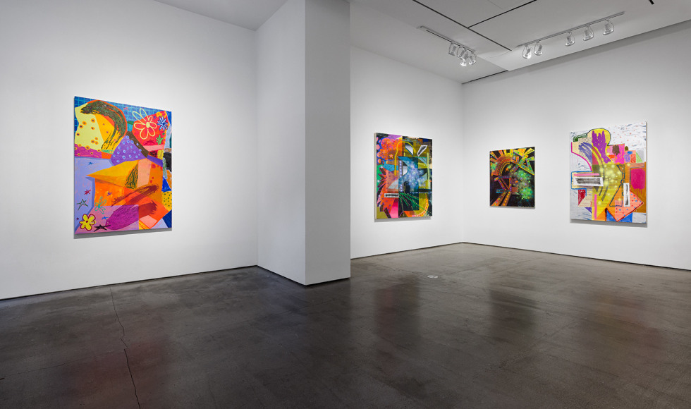 Installation view of Shane Walsh &quot;Psychoalphadiscobeta&quot;