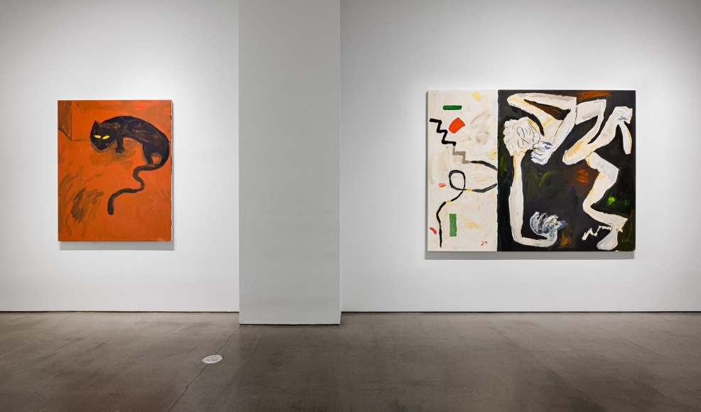 Installation view of Ricardo Gonzalez: "The Shape I'm In"