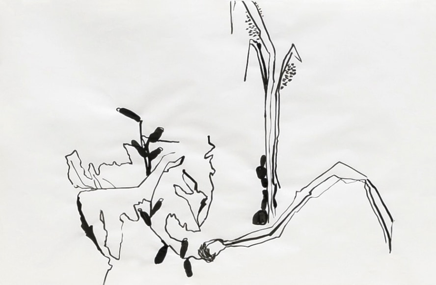 ink on paper drawing