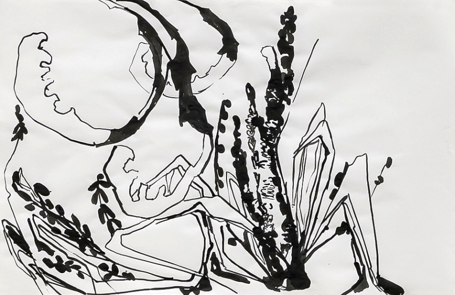 ink on paper drawing