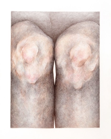 Work on paper by Katarina Riesing