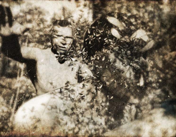 photographic print