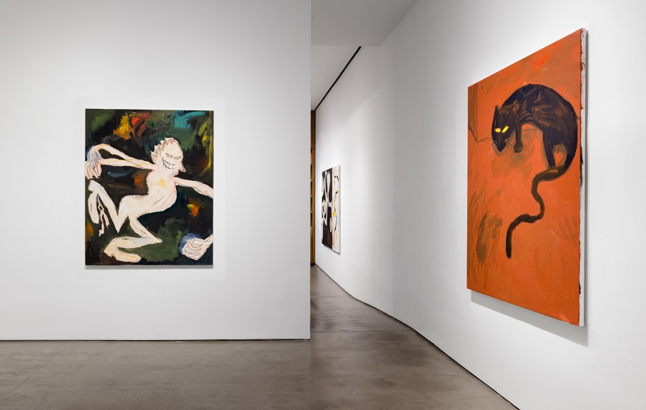 Installation view of Ricardo Gonzalez: "The Shape I'm In"