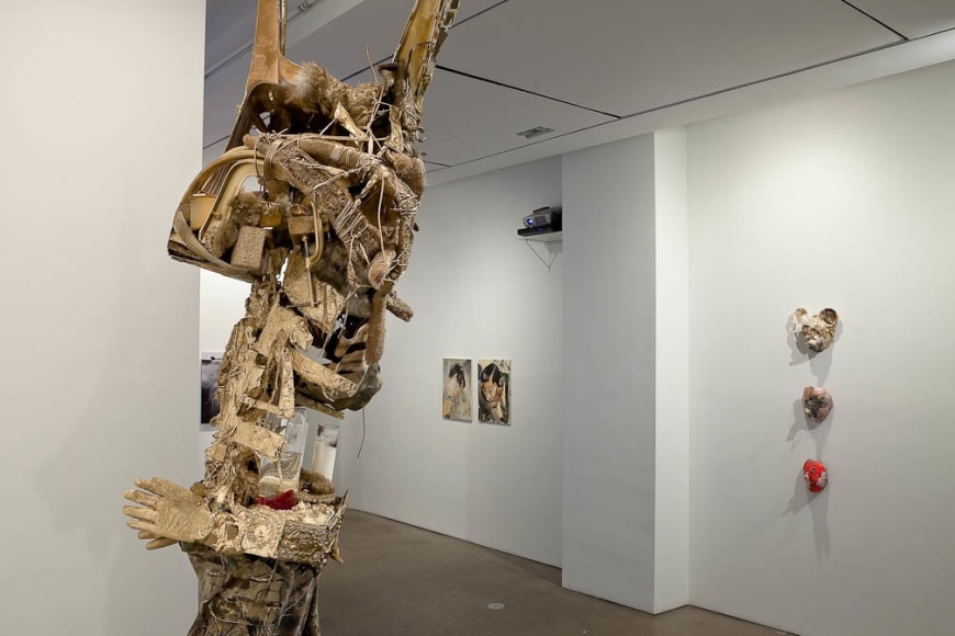 Installation view of "Salvajes"