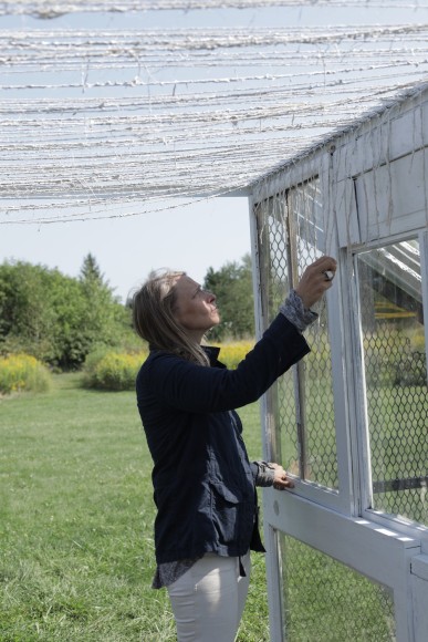 Outdoor installation by Julie Schenkelberg