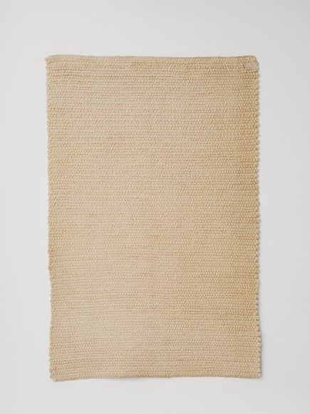 Sheila Hicks