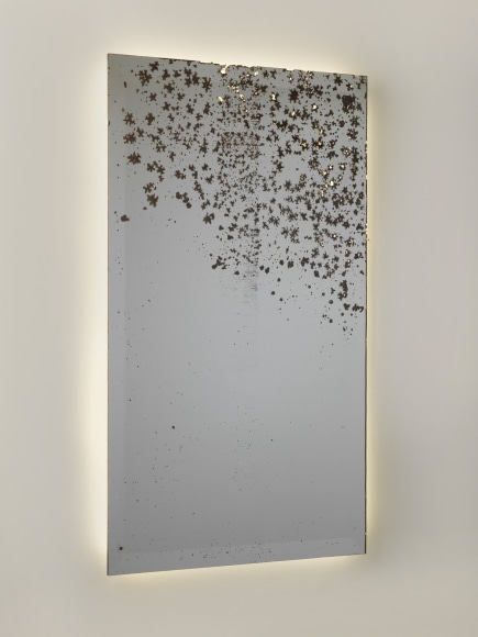 speckled mirror artwork