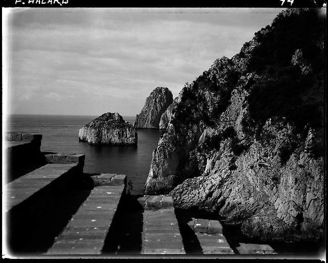 Fran&ccedil;ois Halard