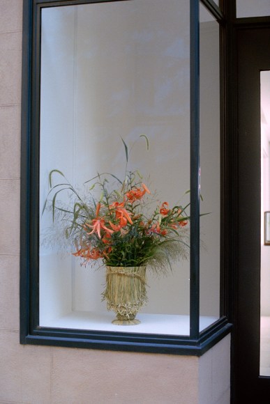 Store Front | Field Studies Flora