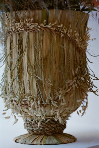 Store Front | Field Studies Flora