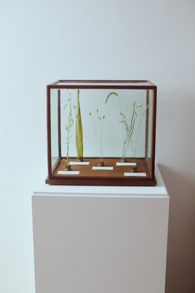 Store Front | Field Studies Flora