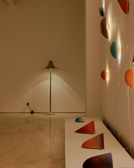 installation view for FLOWers
