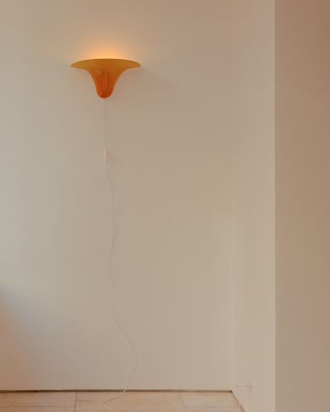 installation view for FLOWers