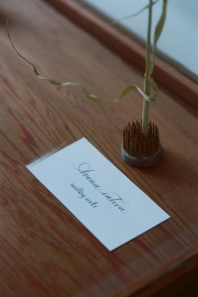 Store Front | Field Studies Flora