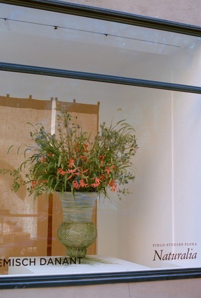 Store Front | Field Studies Flora