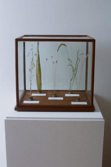 Store Front | Field Studies Flora