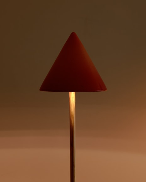 installation view for FLOWers