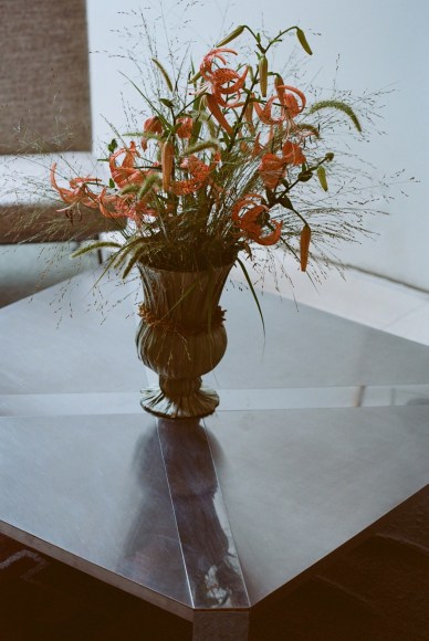 Store Front | Field Studies Flora