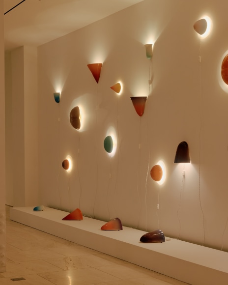 installation view for FLOWers