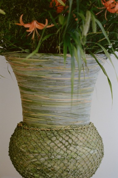 Store Front | Field Studies Flora