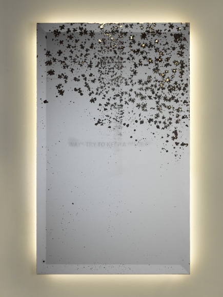 speckled mirror artwork