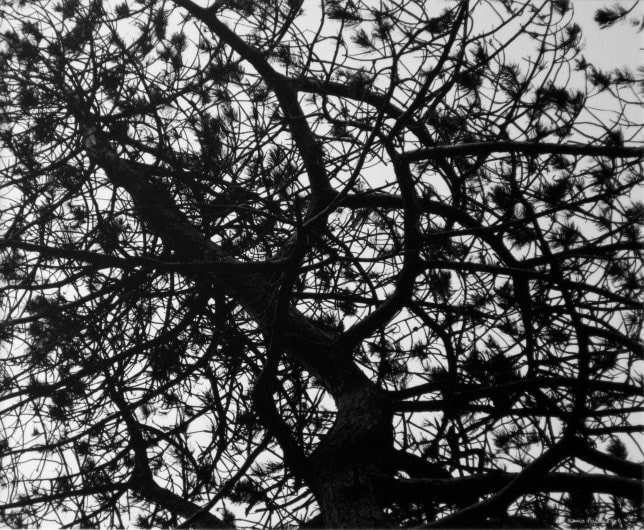 Denis Brihat (b. 1928, Paris)