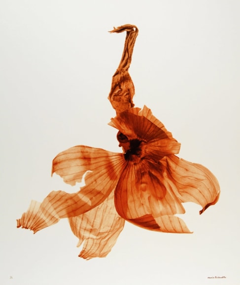 Pelure d&rsquo;oignon (Onion skin),&nbsp;2006, Edition 4/4