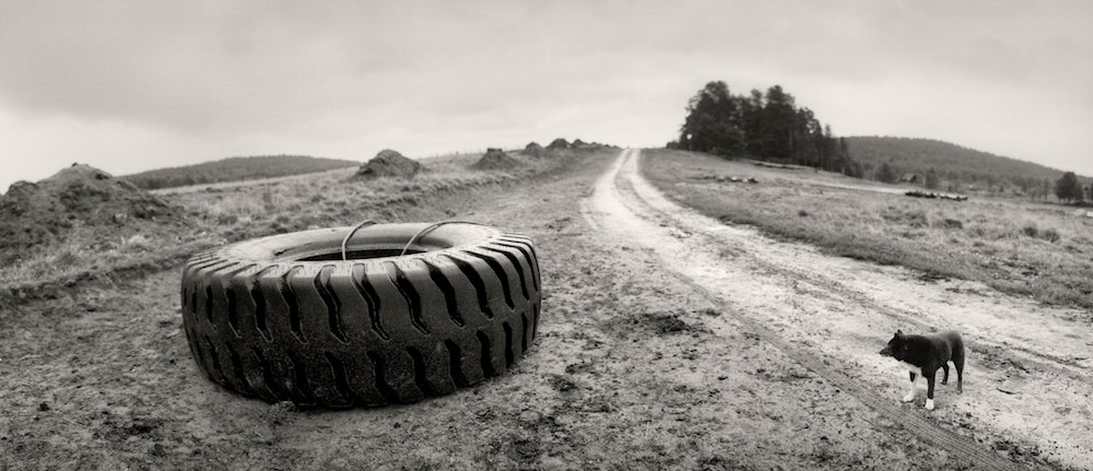 Venehjärvi, Karelia, Russia (dog and tire), 1992, Gelatin silver print