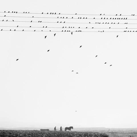 Przevorsk, Poland, 2005, Gelatin silver print