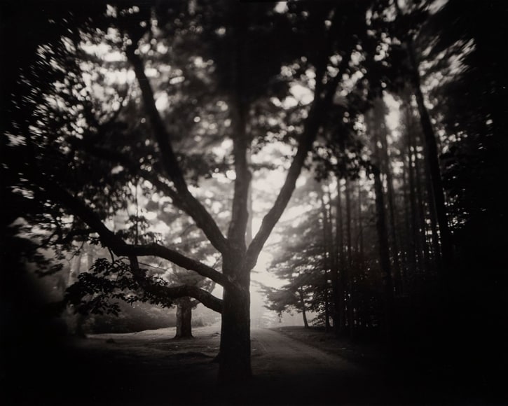 Sumner Wells Hatch (b. 1984, New Hampshire)