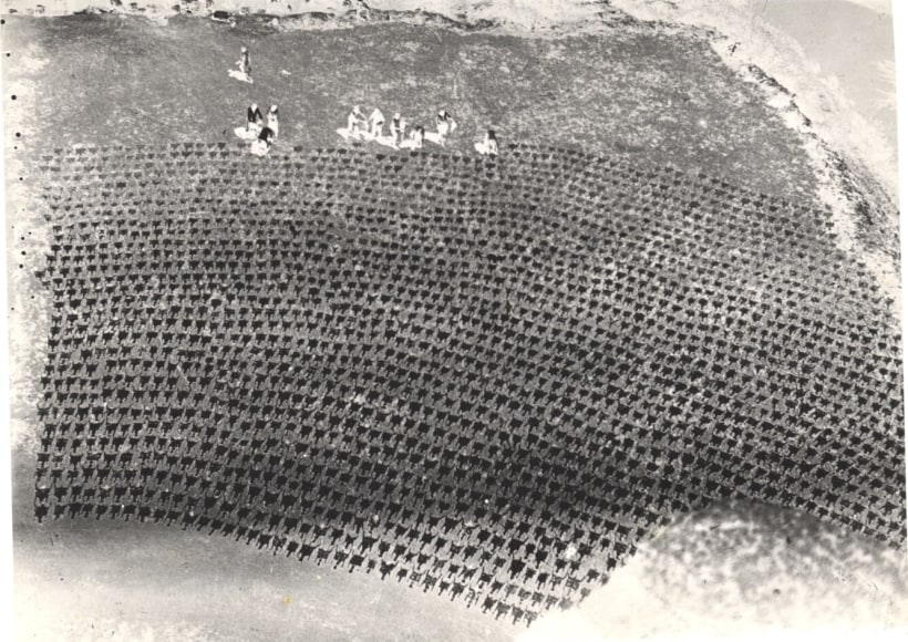 Drying Sheep Skin,&nbsp;1929, Vintage gelatin silver print