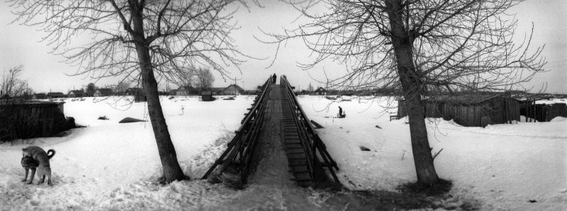 Pentti Sammallahti Jyskyj&auml;rvi, Karelia, Russia (dogs and bridge), 1992