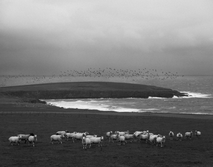 Pentti Sammallahti (b. 1950, Helsinki)