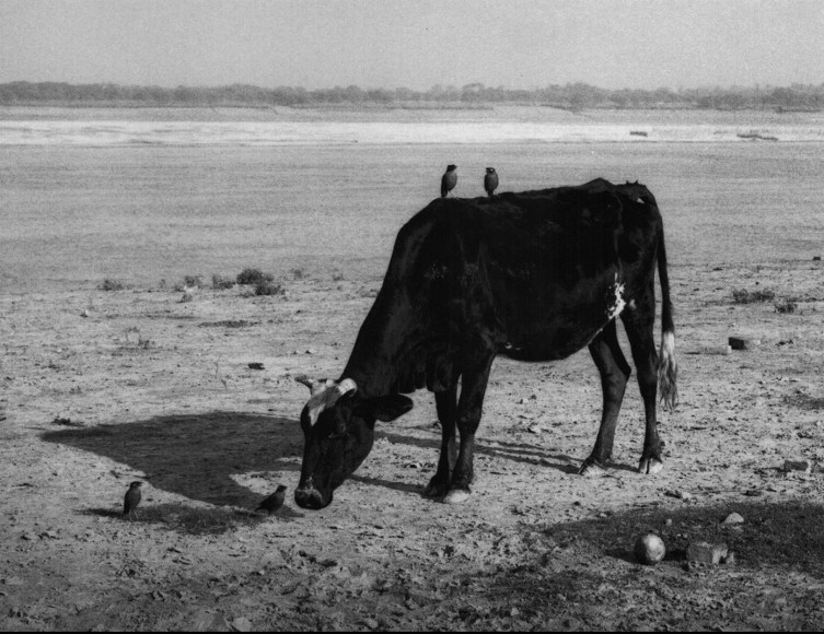 Pentti Sammallahti (b. 1950, Helsinki), Varanasi, India, 1999