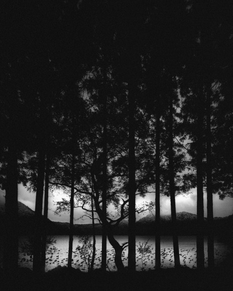 Pentti Sammallahti (b. 1950, Helsinki)