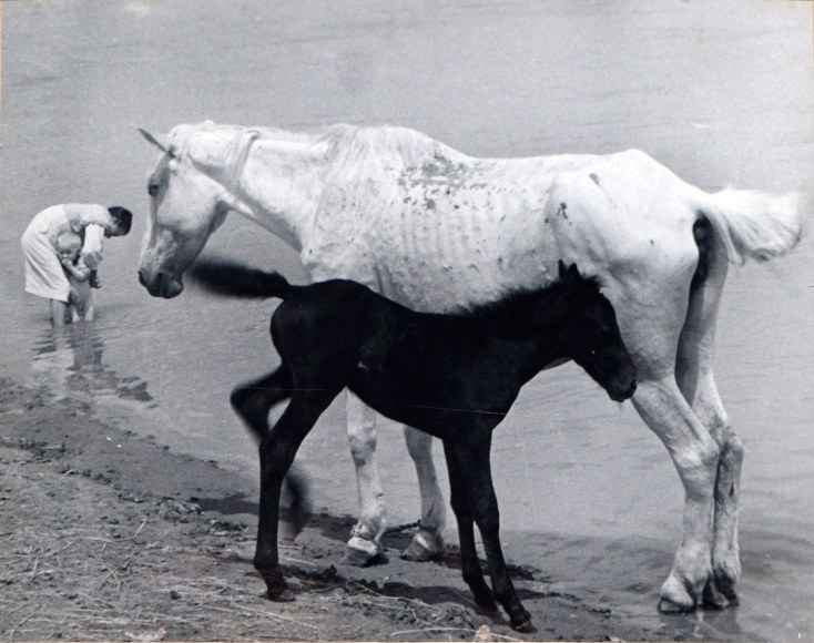 Boris Ignatovich (1899-1976)