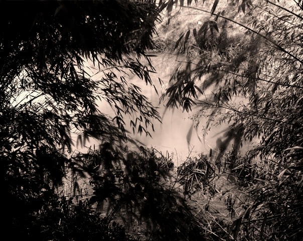 #11, 2017, C-type print