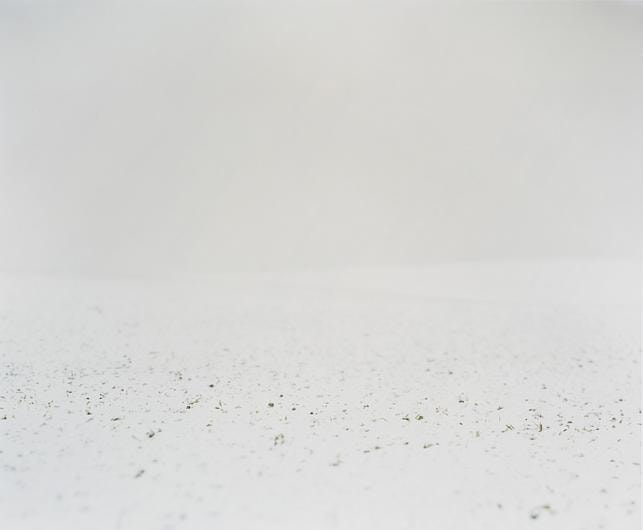 #23, 2006, C-type print