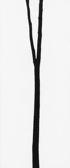 George Tice (b. 1938, Newark), Tree #8, New Jersey