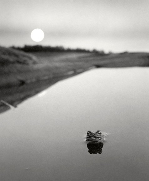 Pentti Sammallahti (b. 1950, Helsinki)