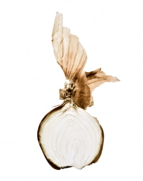 Oignon et Pelure (Onion and peel), 2002, printed 2003