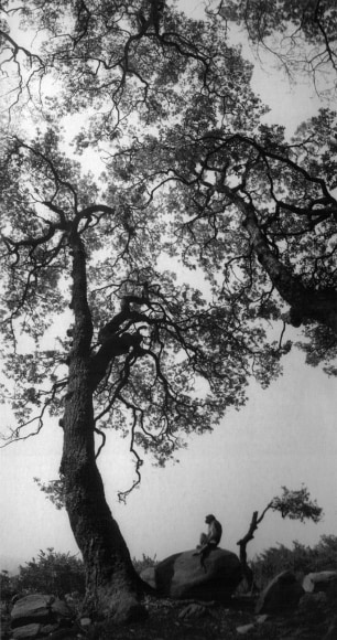 Pentti Sammallahti (b. 1950, Helsinki)