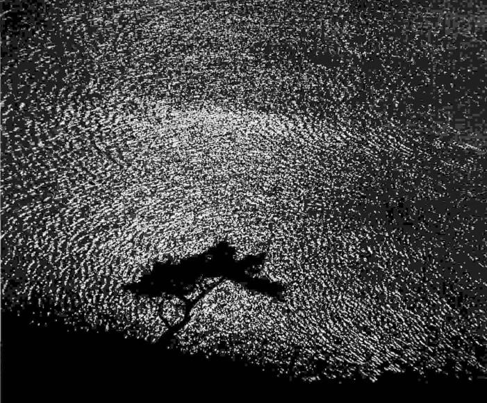 K&ouml;kar, Finland (tree and water),&nbsp;1975