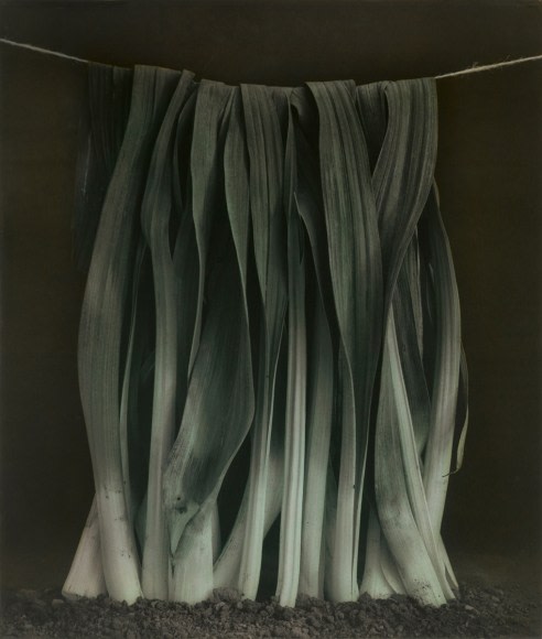 Ingar Krauss (b. 1965, Berlin)