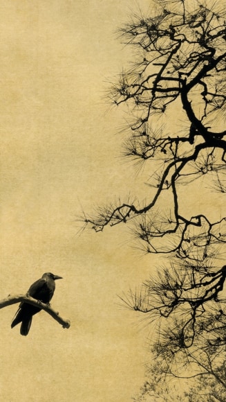 Albarr&aacute;n Cabrera (b. 1969, Spain)