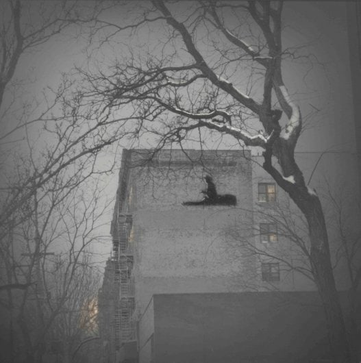 Alexey Titarenko: New York