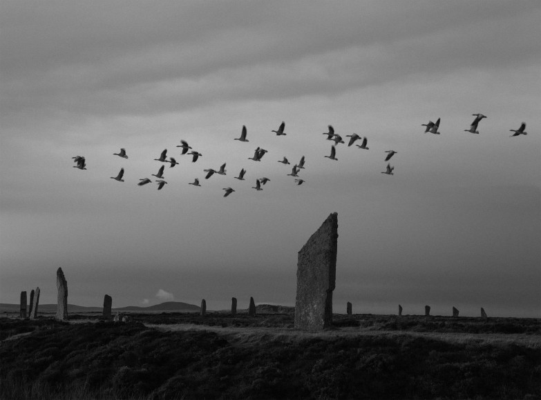 Pentti Sammallahti (b. 1950, Helsinki), Ring of Brodgar, Orkney, Scotland, 2016