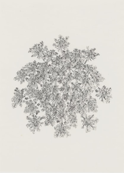 Denis Brihat (b. 1928)